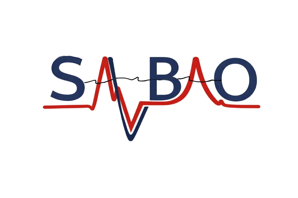Salbao Capacitaciones